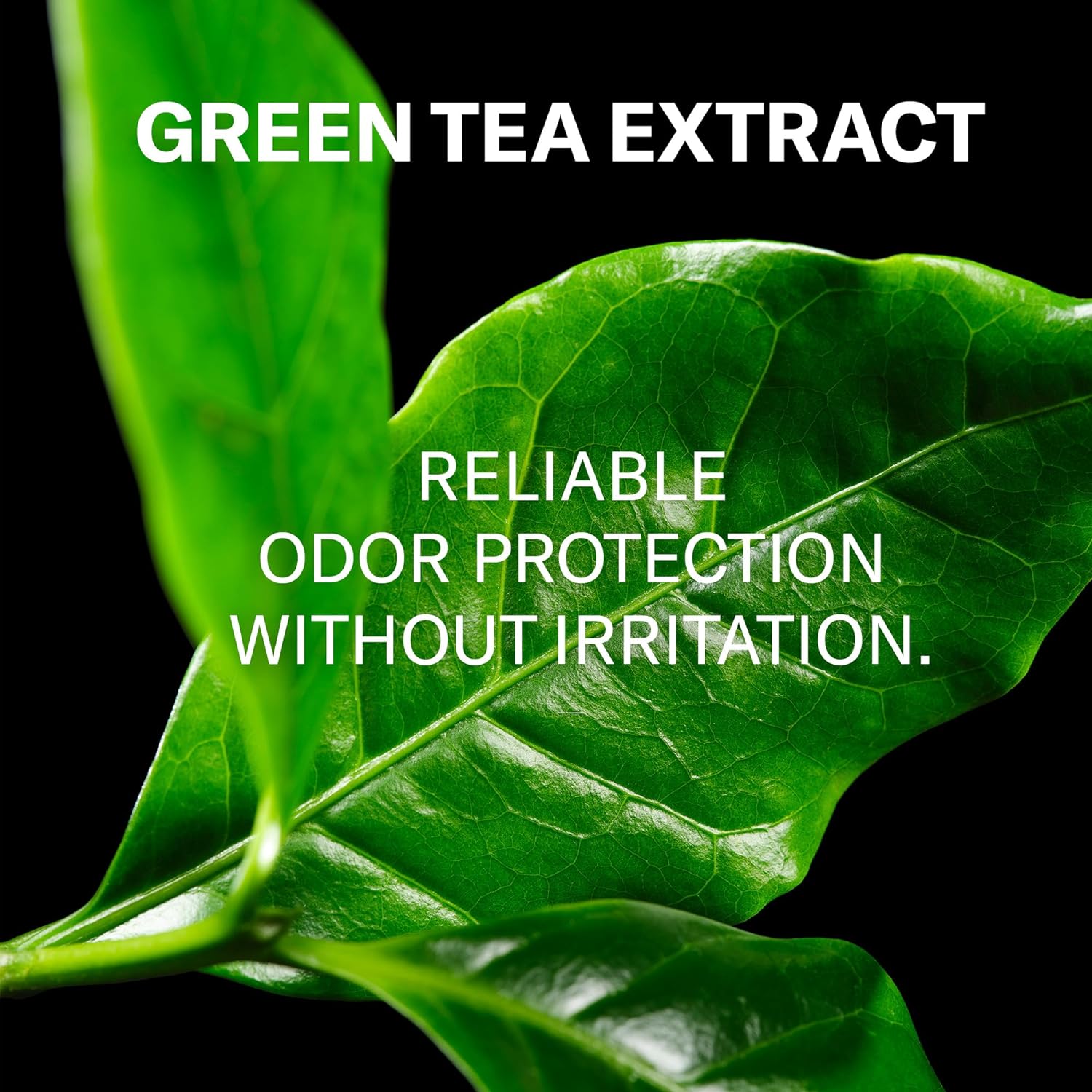 Art of Sport Men’s Deodorant, Aluminum Free, Sandalwood Fragrance, Made with Natural Botanicals, Moisturizing Tea Tree Soap, Made for Athletes, Defy Scent, 2.7 Ounce (Pack of 2) - Image 3